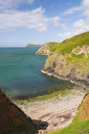 Coch Y Ceiliog